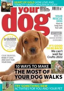 Your Dog Magazine March 2022 
                issue Your Dog Magazine March 2022