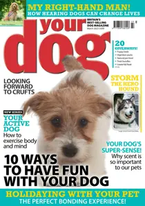 Your Dog Magazine March 2023 
                issue Your Dog Magazine March 2023