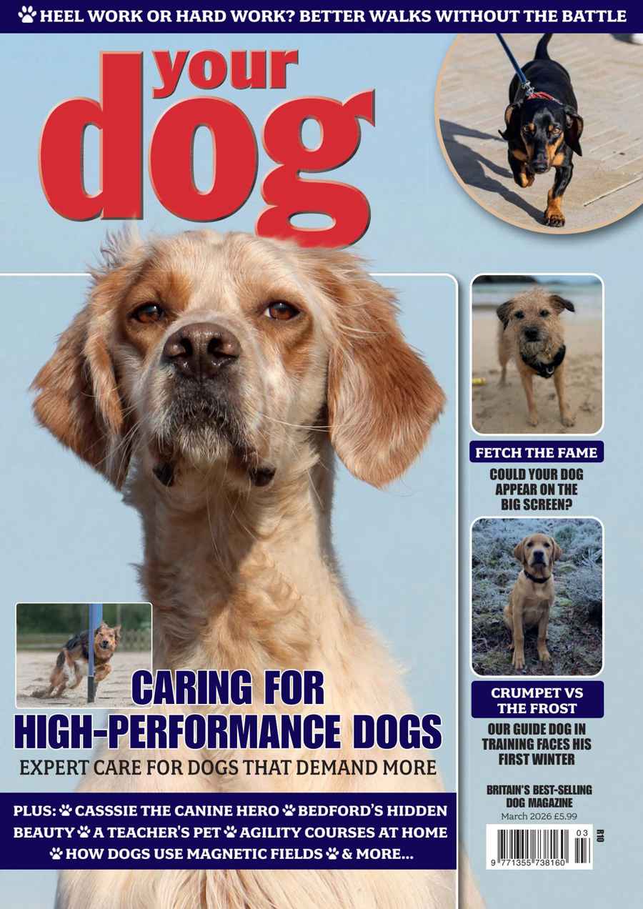Your Dog issue Your Dog Magazine - March 2026
