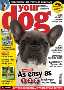 Your Dog Magazine May 2016 
                issue Your Dog Magazine May 2016