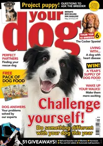 Your Dog Magazine May 2018 
                issue Your Dog Magazine May 2018