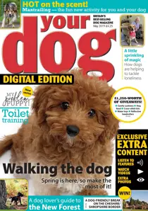 Your Dog Magazine May 2019 
                issue Your Dog Magazine May 2019