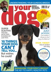 Your Dog Magazine May 2021 
                issue Your Dog Magazine May 2021