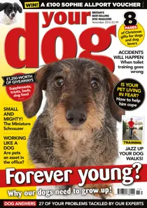 Your Dog Magazine November 2016 
                issue Your Dog Magazine November 2016
