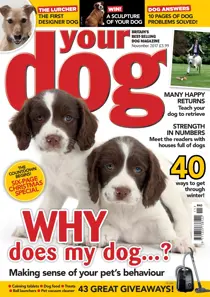 Your Dog Magazine November 2017 
                issue Your Dog Magazine November 2017
