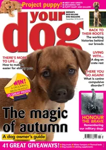 Your Dog Magazine November 2018 
                issue Your Dog Magazine November 2018