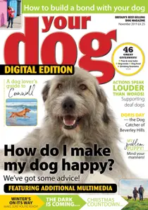 Your Dog Magazine November 2019 
                issue Your Dog Magazine November 2019