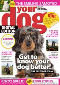 Your Dog Magazine November 2020 
                issue Your Dog Magazine November 2020