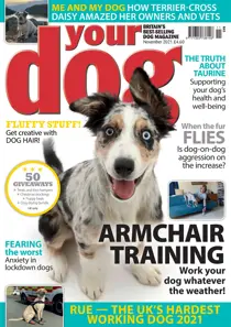 Your Dog Magazine November 2021 
                issue Your Dog Magazine November 2021