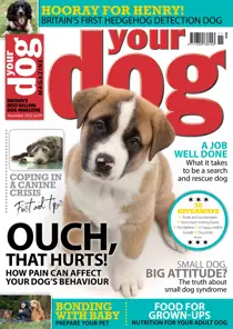 Your Dog Magazine November 2022 
                issue Your Dog Magazine November 2022