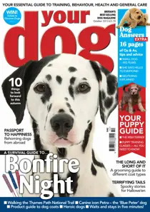 Your Dog Magazine October 2013 
                issue Your Dog Magazine October 2013