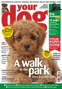 Your Dog Magazine October 2014 
                issue Your Dog Magazine October 2014
