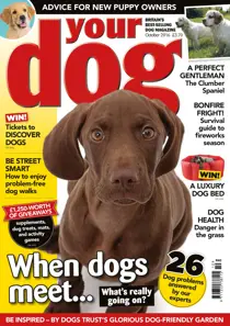 Your Dog Magazine October 2016 
                issue Your Dog Magazine October 2016