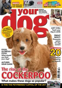 Your Dog Magazine October 2017 
                issue Your Dog Magazine October 2017