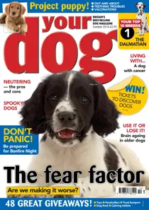 Your Dog Magazine October 2018 
                issue Your Dog Magazine October 2018