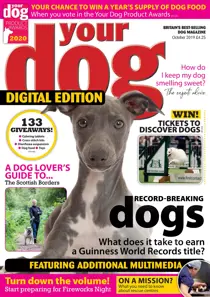 Your Dog Magazine October 2019 
                issue Your Dog Magazine October 2019