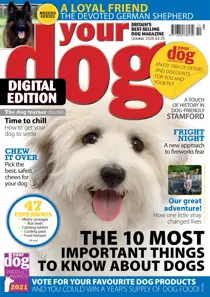 Your Dog Magazine October 2020 
                issue Your Dog Magazine October 2020