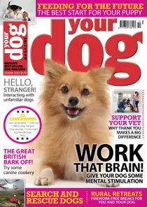 Your Dog Magazine October 2022 
                issue Your Dog Magazine October 2022