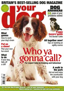 Your Dog Magazine September 2012 
                issue Your Dog Magazine September 2012