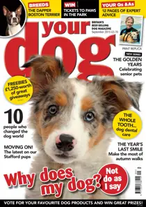 Your Dog Magazine September 2015 
                issue Your Dog Magazine September 2015