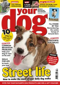 Your Dog Magazine September 2016 
                issue Your Dog Magazine September 2016