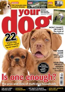 Your Dog Magazine September 2017 
                issue Your Dog Magazine September 2017