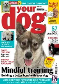 Your Dog Magazine September 2018 
                issue Your Dog Magazine September 2018