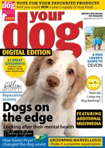 Your Dog Magazine September 2019 
                issue Your Dog Magazine September 2019