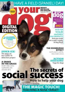 Your Dog Magazine September 2020 
                issue Your Dog Magazine September 2020