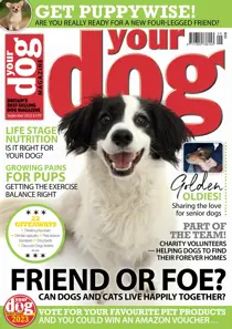 Your Dog Magazine September 2022 
                issue Your Dog Magazine September 2022