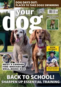 Your Dog - September 2025 
                issue Your Dog - September 2025
