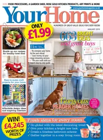 January 2019 
                issue January 2019