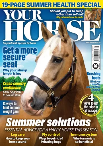 Your Horse Preview