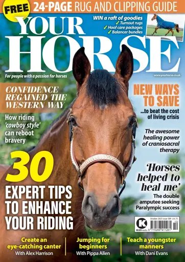 Your Horse Preview