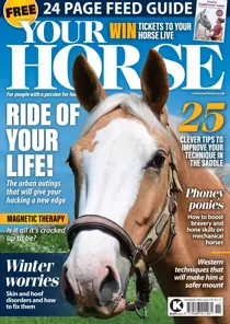 Your Horse #510 Nov-23