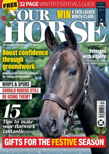 Your Horse Preview