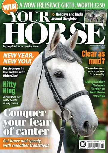 Your Horse Preview