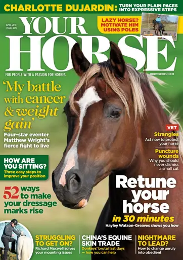 Your Horse Preview