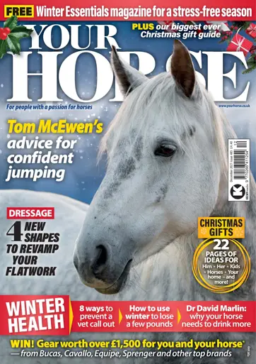 Your Horse Preview