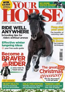 December 2016 
                issue December 2016