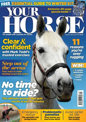 Your Horse Preview