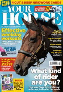 December 2017 
                issue December 2017