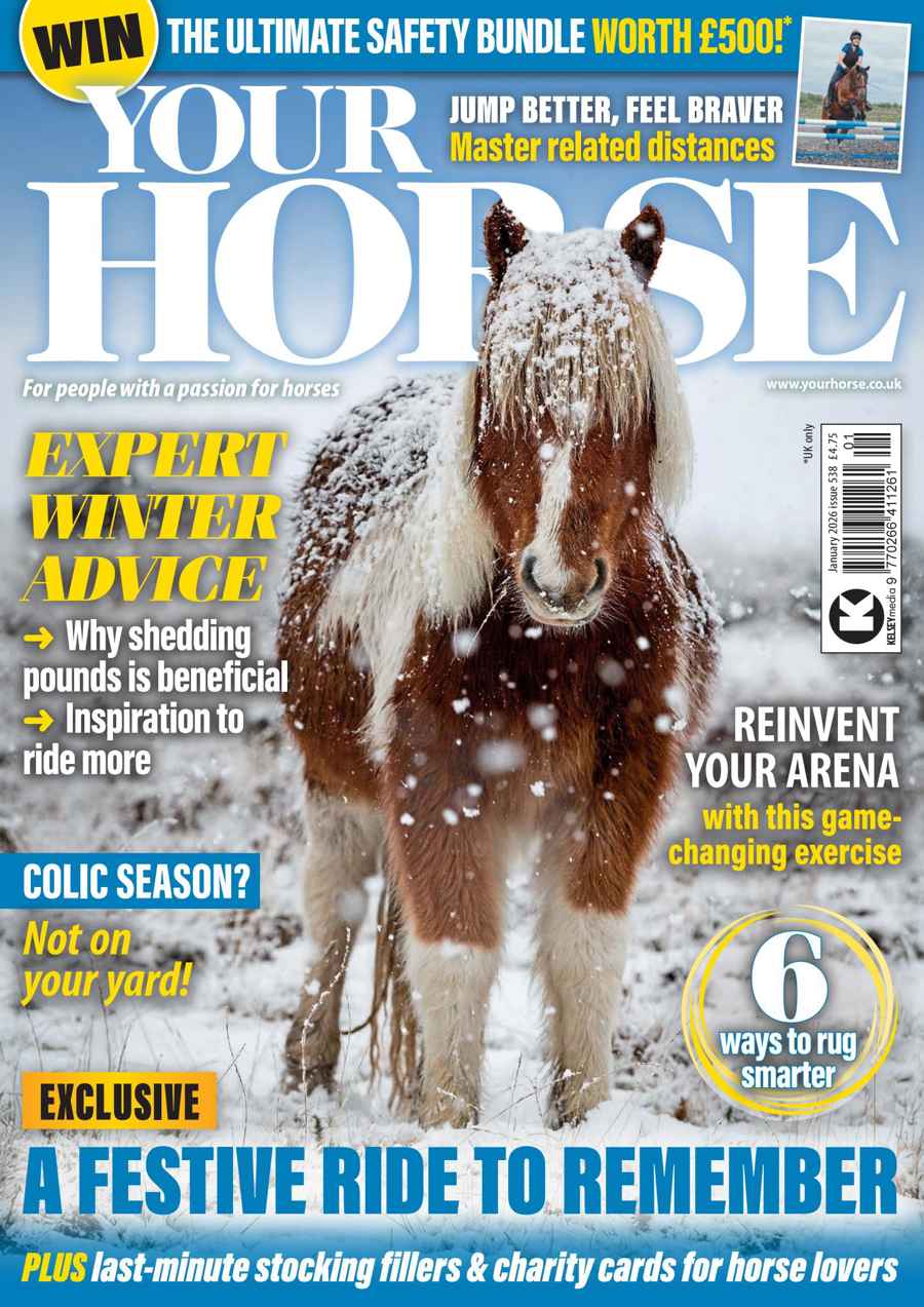 Your Horse issue Jan-26