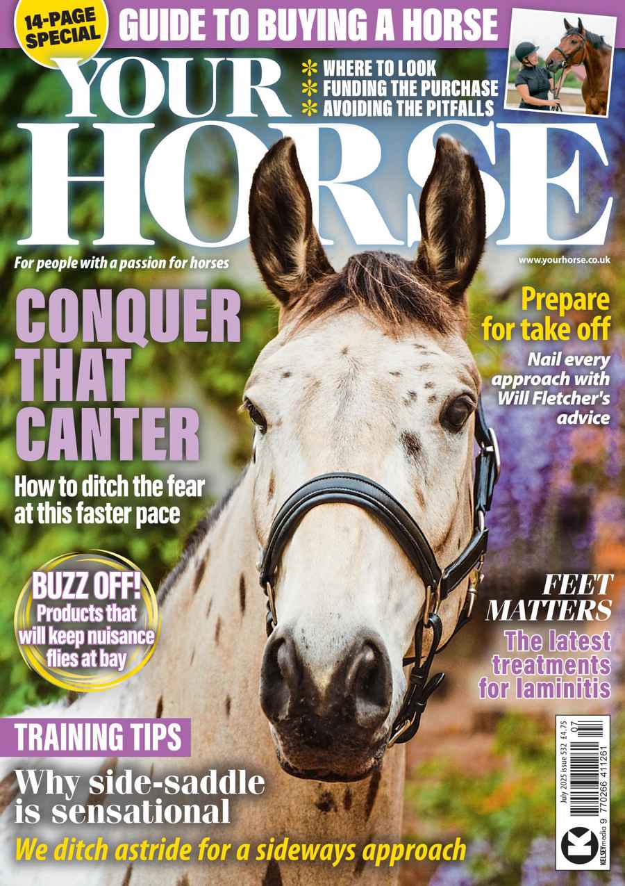 YOUR HORSE