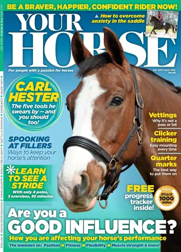 Your Horse Preview