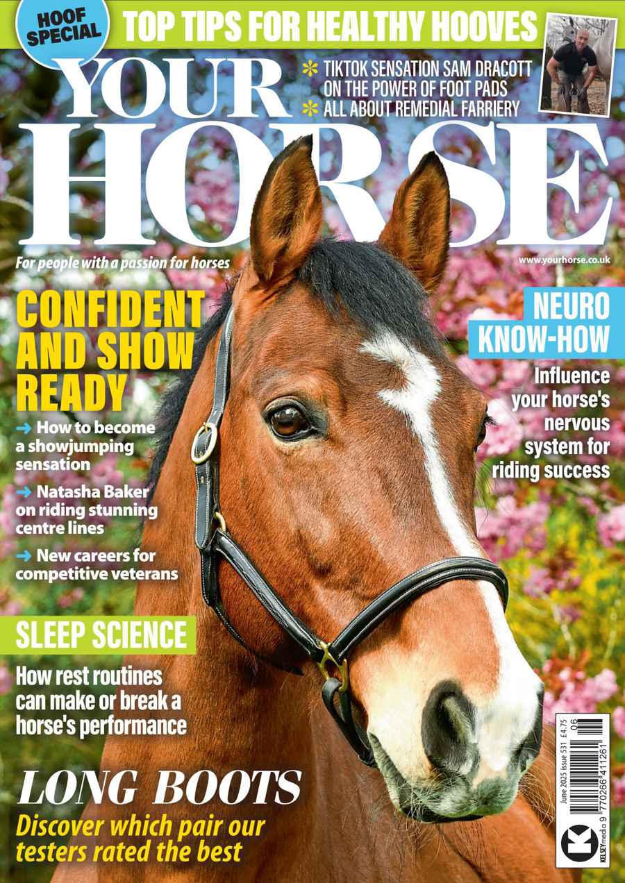 YOUR HORSE
