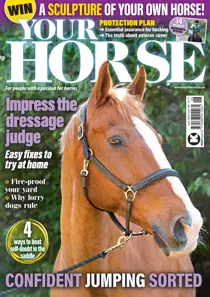 Your Horse 
                issue June 2026
