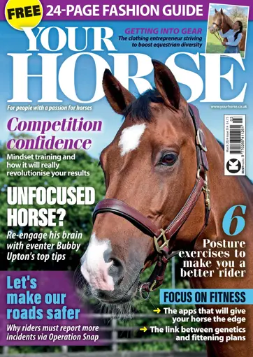 Your Horse Preview