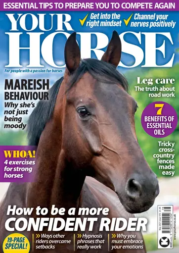 Your Horse Preview