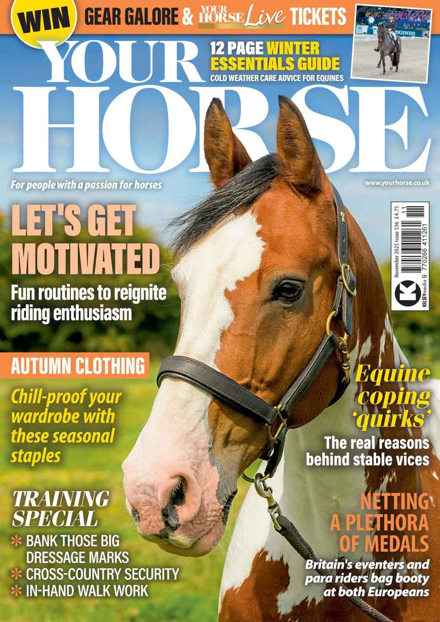 YOUR HORSE